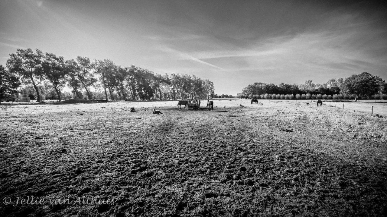 Bed&Breakfast de Bimd Hoeve De Bus Extérieur photo